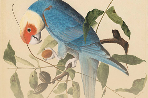 Les stages de printemps proposés par l'ÉMAP en avril, mail et juin 2026