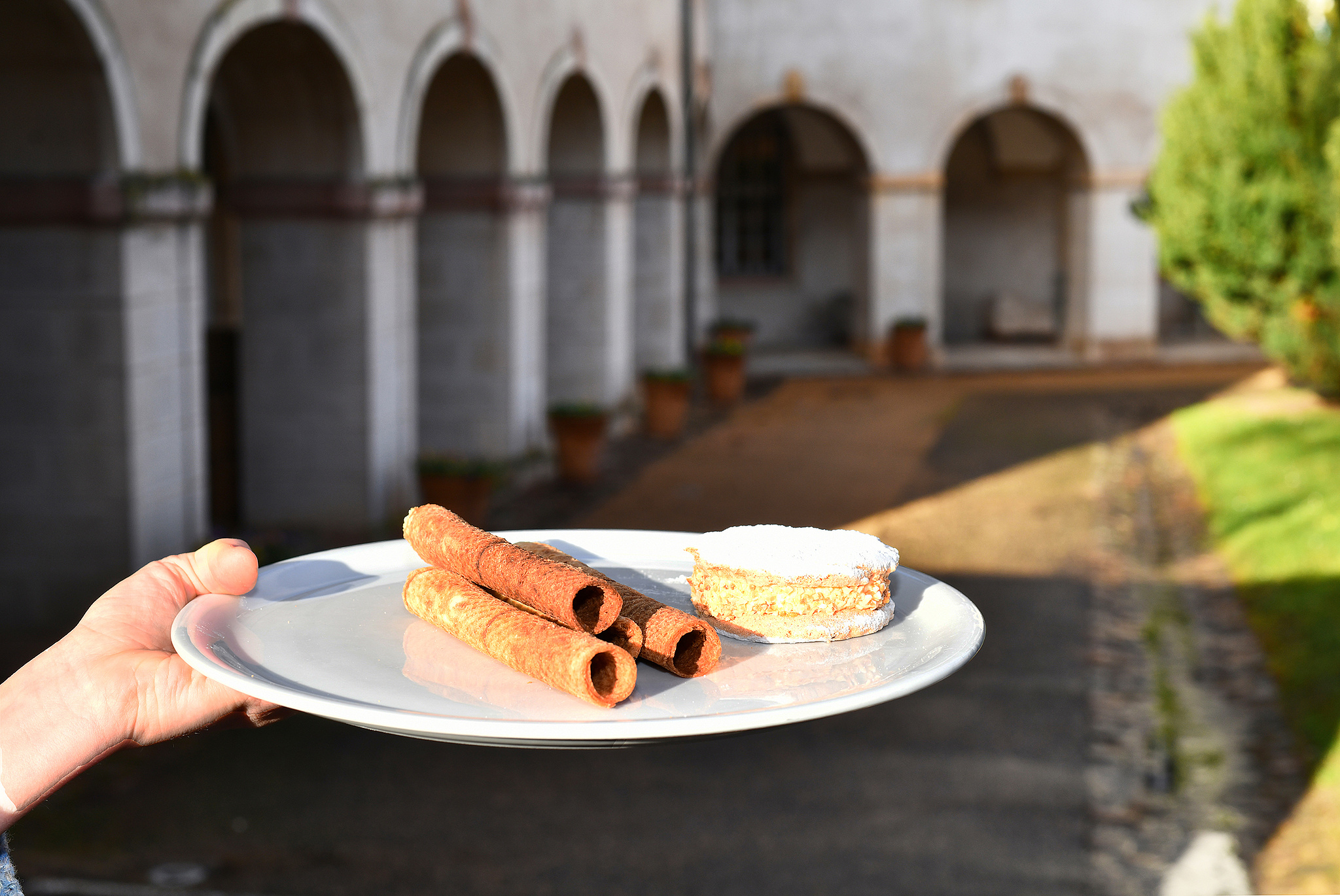 A table ! Terroirs et territoires en Mâconnais