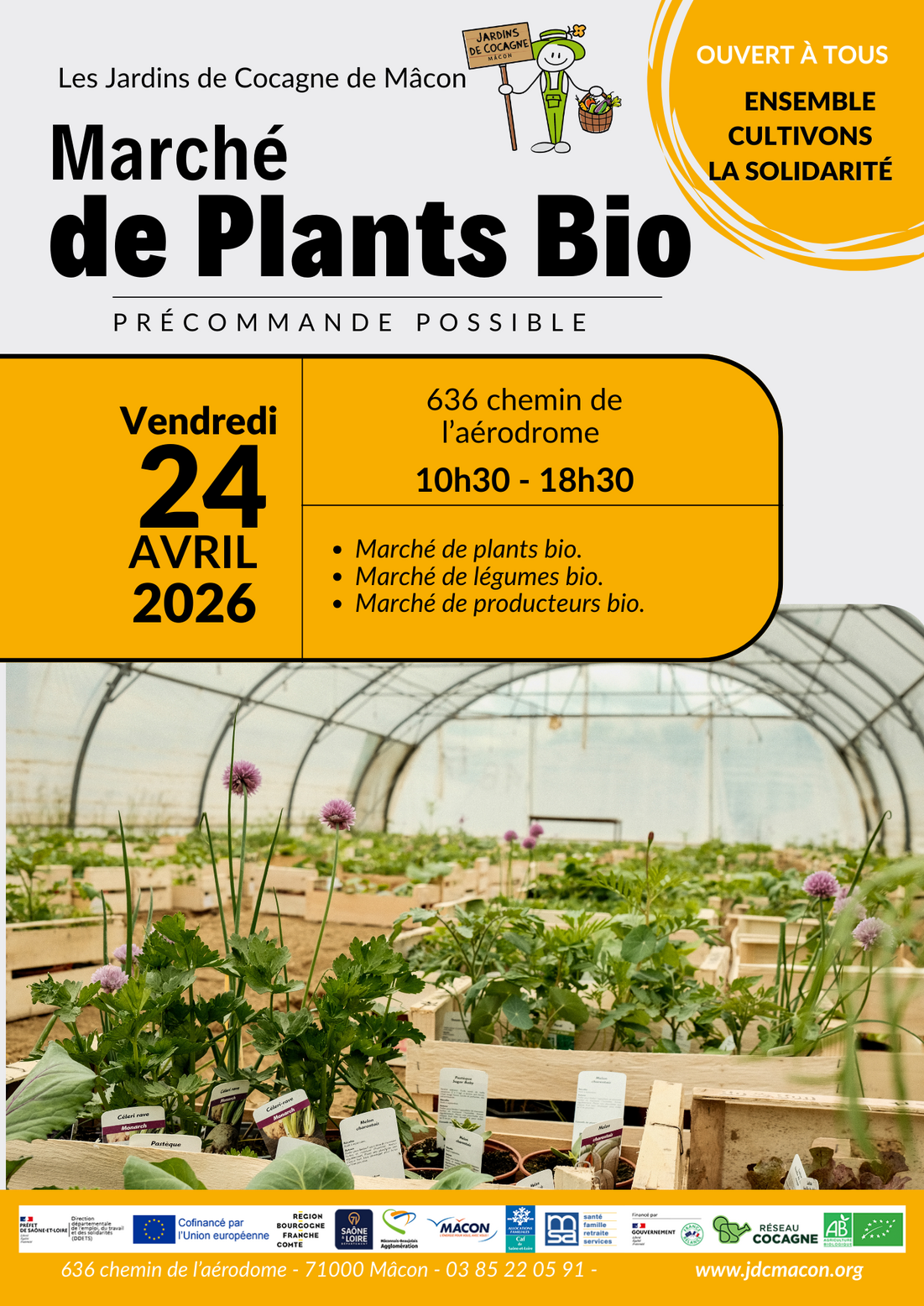 Marché de plants de légumes et fleurs bio