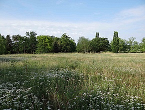 Agrandir l'image (fenêtre modale)