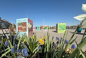 common.enlargeImage