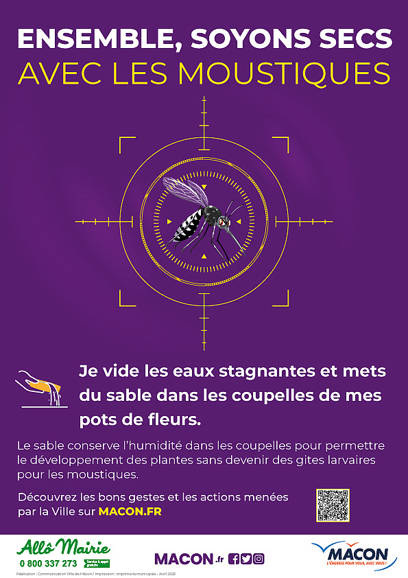 Agrandir l'image (fenêtre modale)