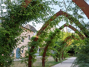 Agrandir l'image (fenêtre modale)