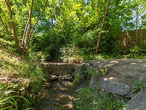 Le long de l'Abîme - Agrandir l'image (fenêtre modale)