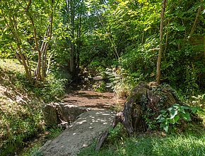 Le long de l'Abîme - Agrandir l'image (fenêtre modale)