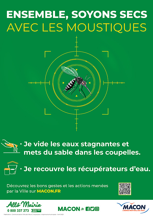 Agrandir l'image (fenêtre modale)