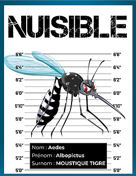 Agrandir l'image (fenêtre modale)