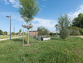 Agrandir l'image (fenêtre modale)