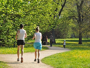 Parcours sportif au Parc Nord - Agrandir l'image (fenêtre modale)