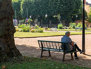 Agrandir l'image (fenêtre modale)