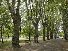 Le Parc de l'Abîme à Marbé - Agrandir l'image (fenêtre modale)