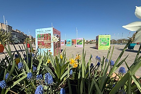 common.enlargeImage