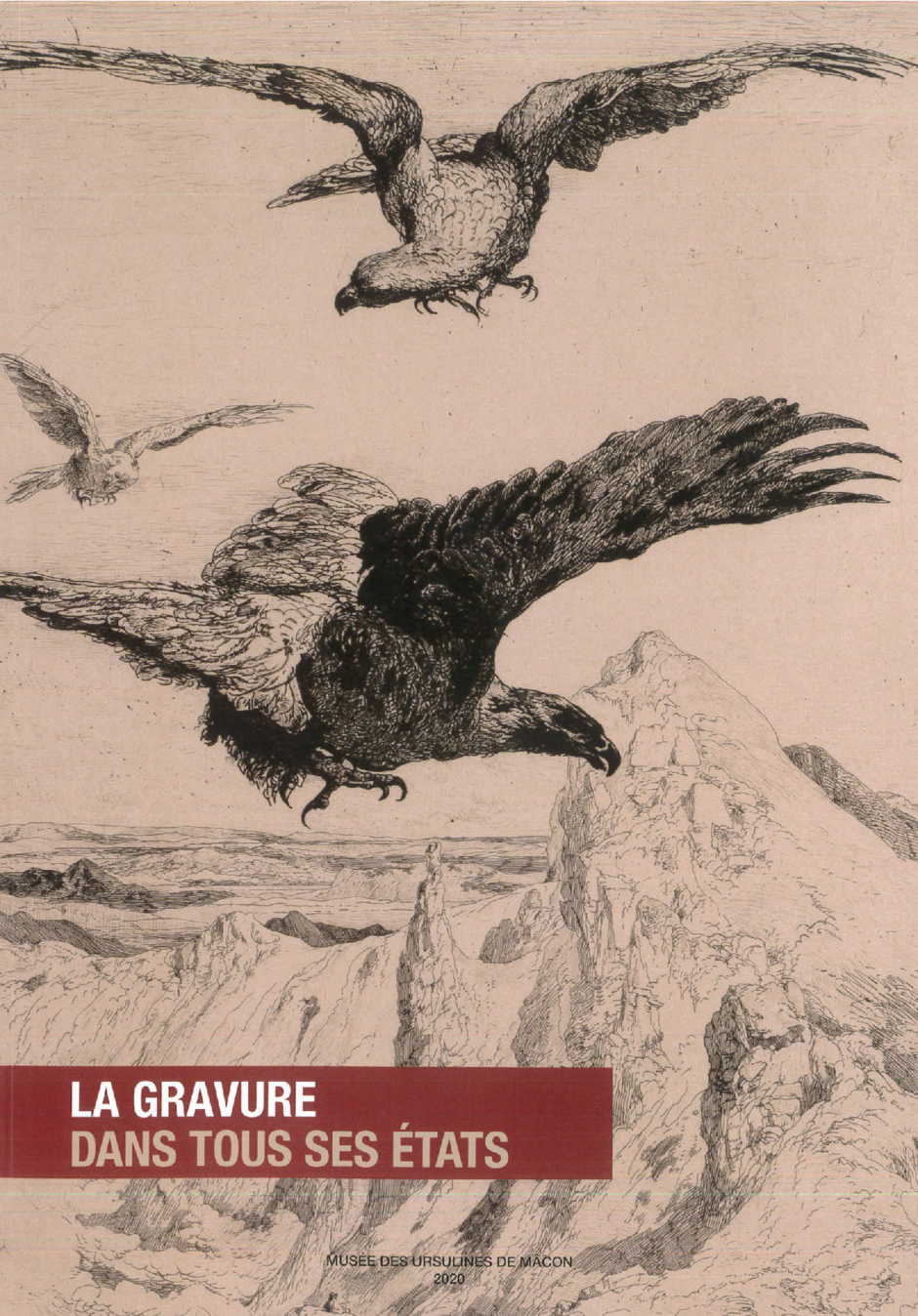 Agrandir l'image (fenêtre modale)